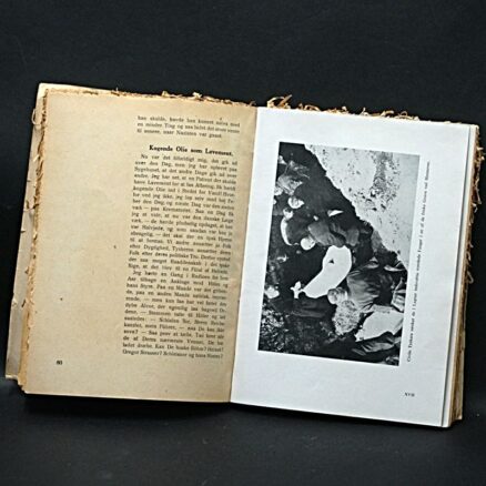 V. Dahlsen, I nazismens helvede - Image 3