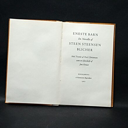 Steen Steensen Blicher, Eneste barn - Image 2