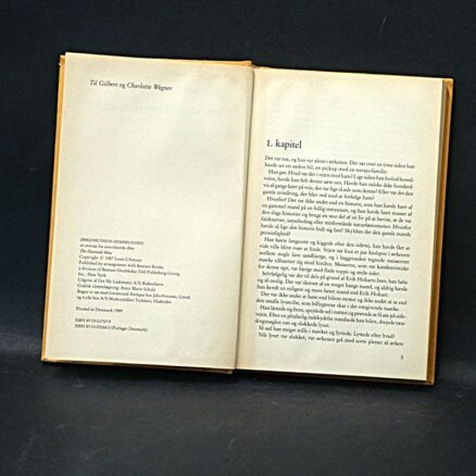 Louis L'amour, Ørkenruinens hemmelighed - Image 2