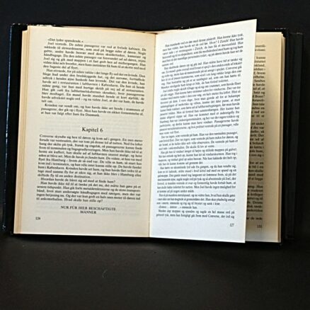 Robert Ludlum, Høgenes broderskab - Image 2