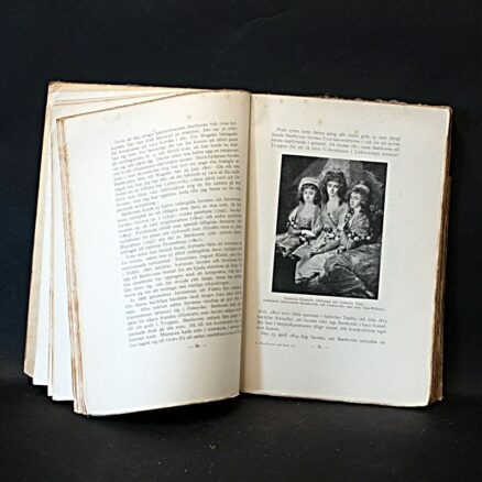 Tobias Norlind, Beethoven och hans tid - Image 2