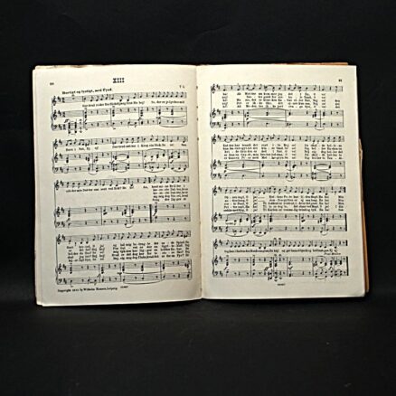 Carl Nielsen og Thomas Laub, En snes danske viser - Image 2