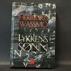 Herbjørg Wassmo, Lykkens sønn