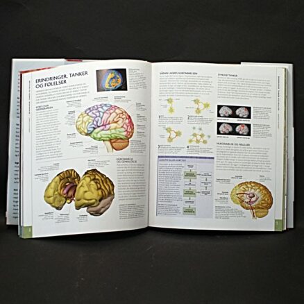 Steve Parker, Menneskekroppen - Image 2